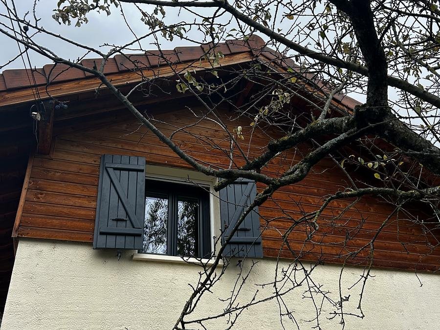 Branches au-dessus d'un toit