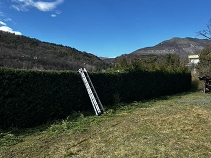 Terrain et haie à remettre en état